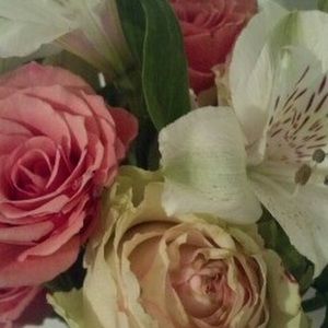 Meet your Posher, Candi